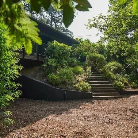 La Petite Pinede - Typique Au Calme Et A Quelques Pas De La Villa