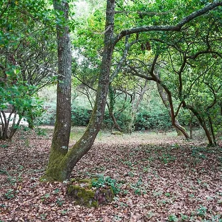 Villa La Petite Pinede - Typique Au Calme Et A Quelques Pas De La