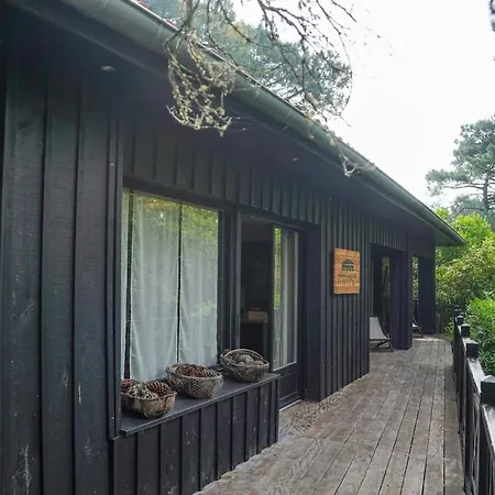 La Petite Pinede - Typique Au Calme Et A Quelques Pas De La Lege-Cap-Ferret